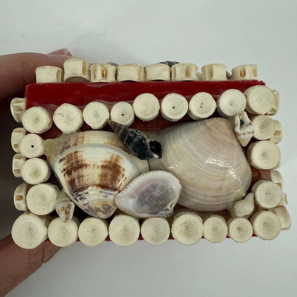 Vintage Seashell Trinket Box Shark Vertebrae Bone Rings Red Velvet Lined 3.5